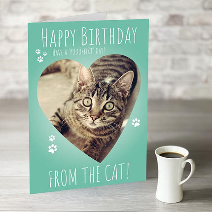 Happy Birthday From The Cat - Hexcanvas
