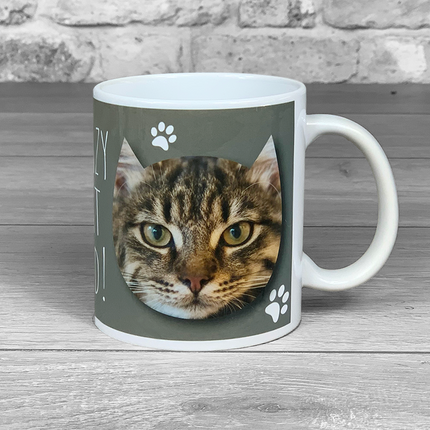 Crazy Cat Dad Personalised Photo Mug - Hexcanvas