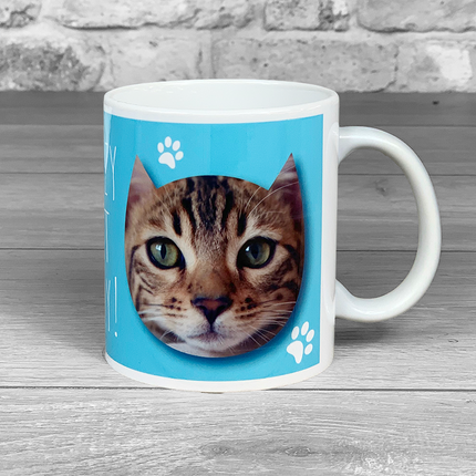 Crazy Cat Lady Personalised Photo Mug - Hexcanvas